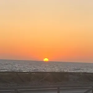 Abundancia , El Palmar (Andalucia) España